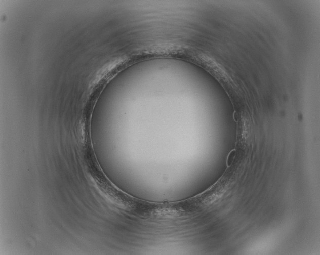 X0000076390636200610161141