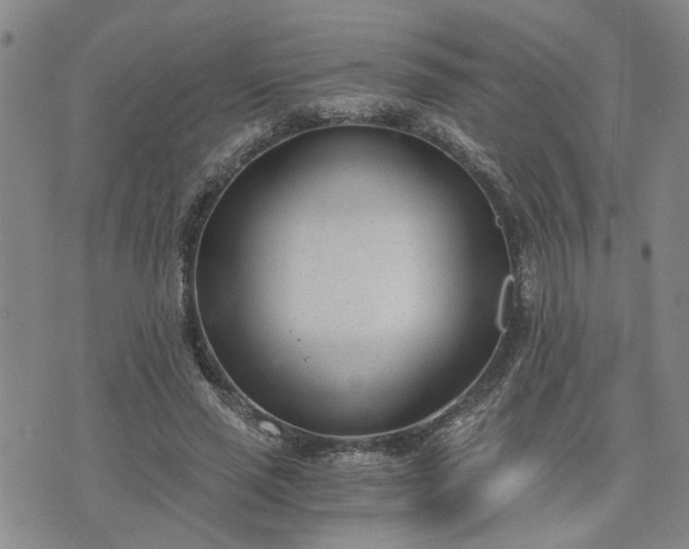 X0000076390637200610161141