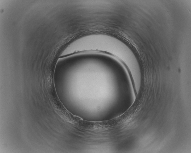 X0000076390641200610161141