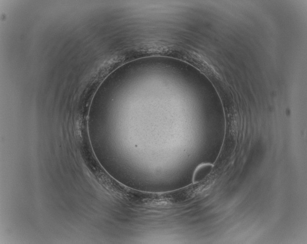 X0000076390643200610161141