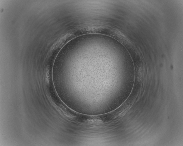 X0000076390644200610161141