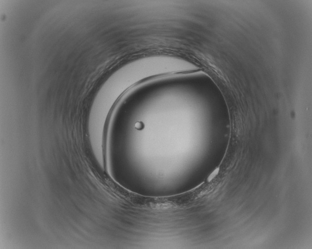 X0000076390645200610161141