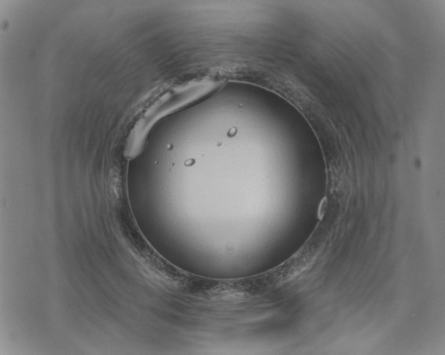 X0000076390648200610161141