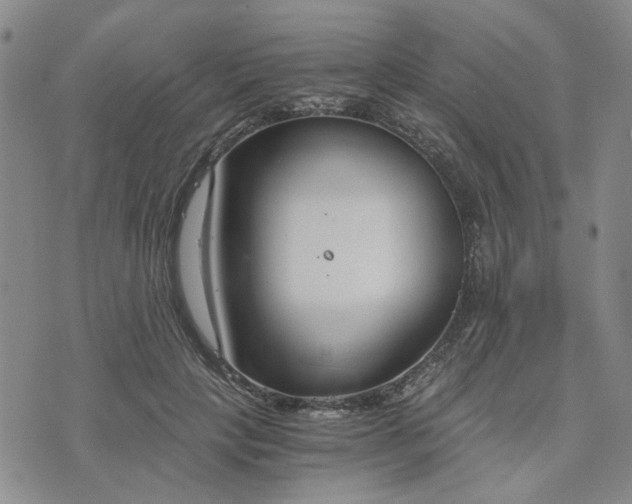 X0000076390649200610161141