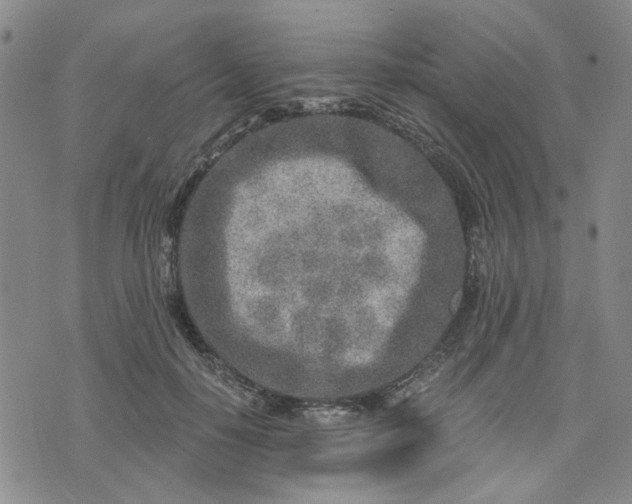 X0000076390650200610161141