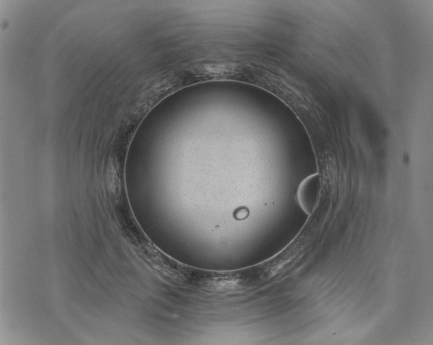 X0000076390651200610161141