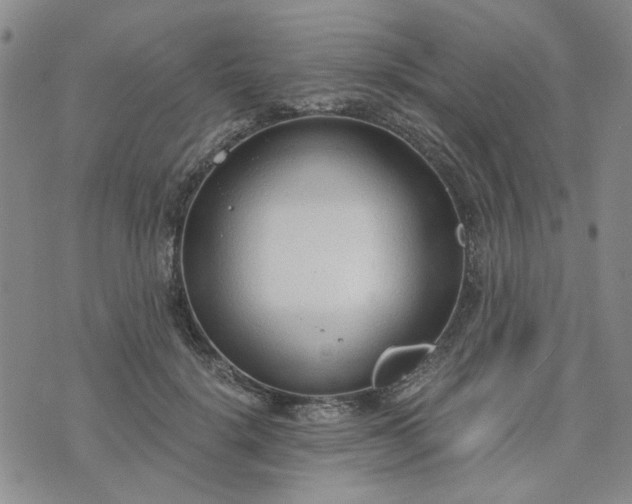 X0000076390652200610161141