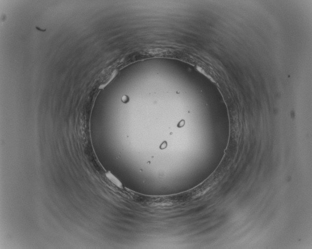 X0000076390653200610161141