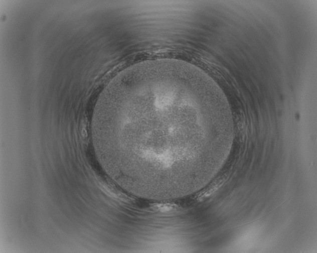 X0000076390654200610161141