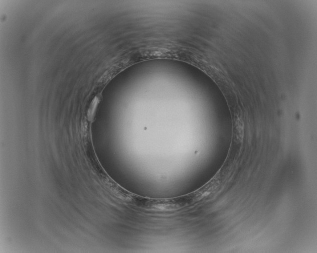 X0000076390657200610161141