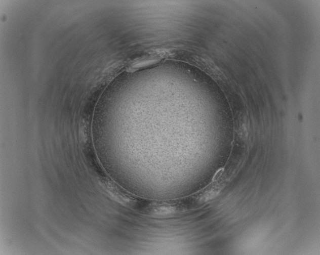 X0000076390658200610161141