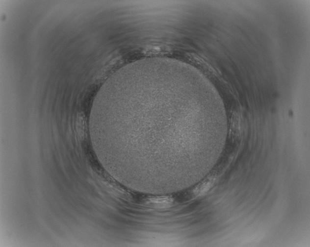 X0000076390659200610161141