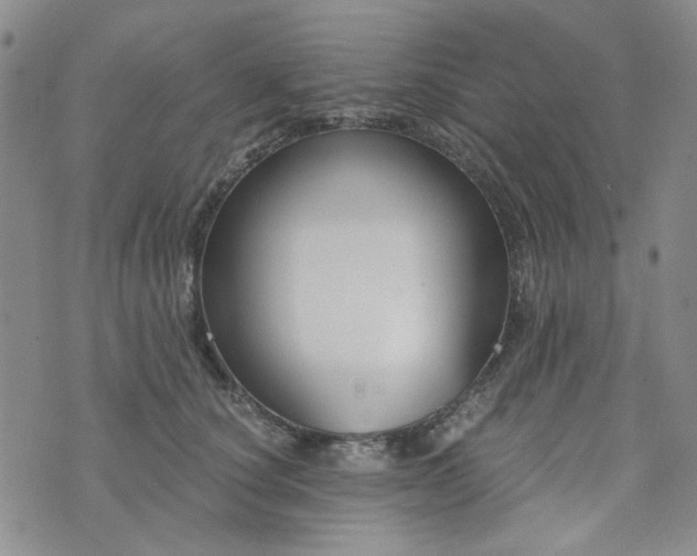 X0000076390660200610161141