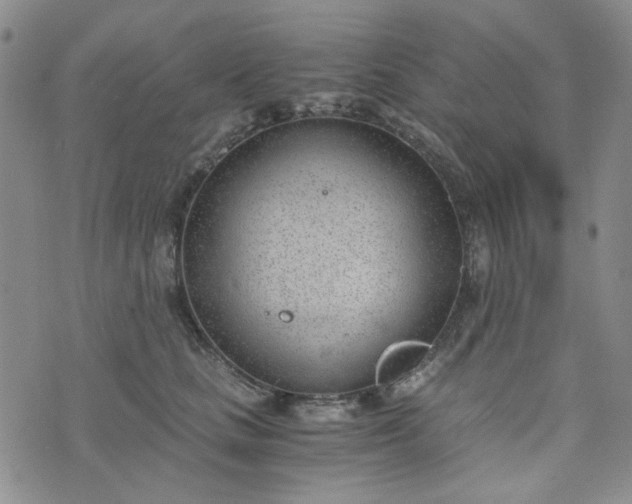 X0000076390661200610161141