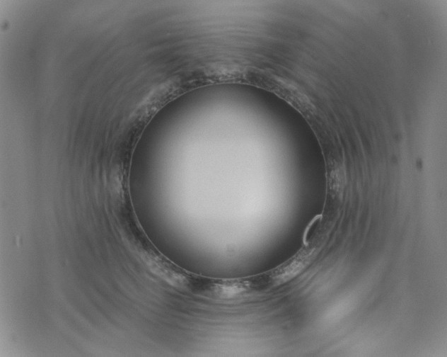 X0000076390662200610161141