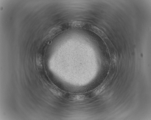 X0000076390663200610161141