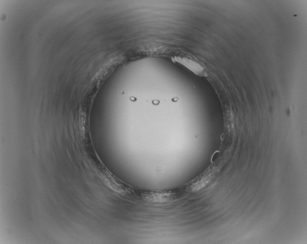 X0000076390664200610161141