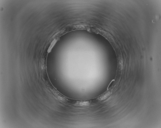 X0000076390665200610161141