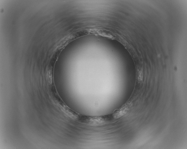 X0000076390666200610161141