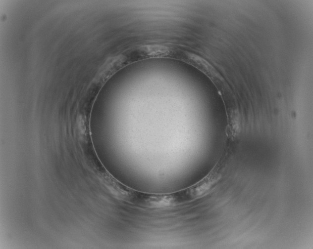 X0000076390667200610161141