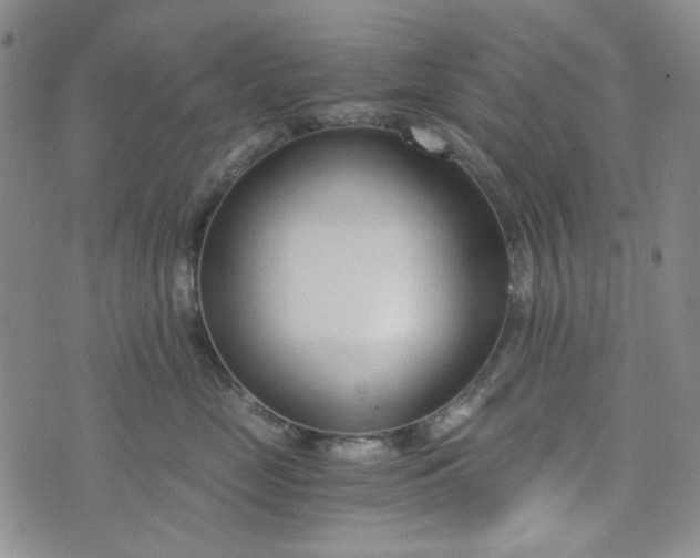 X0000076390669200610161142