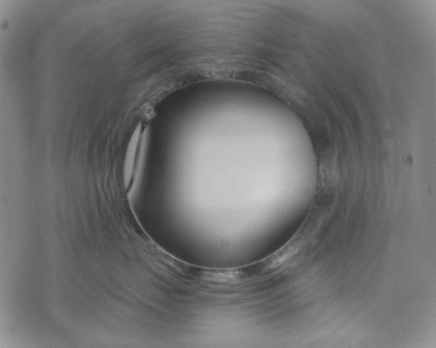 X0000076390671200610161142