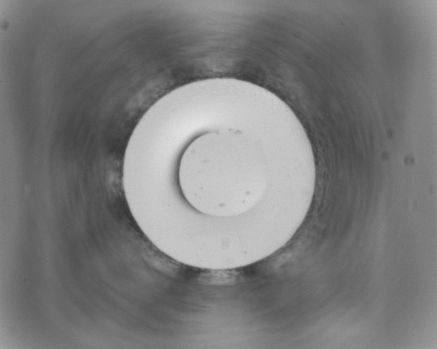 X0000076390672200610161142