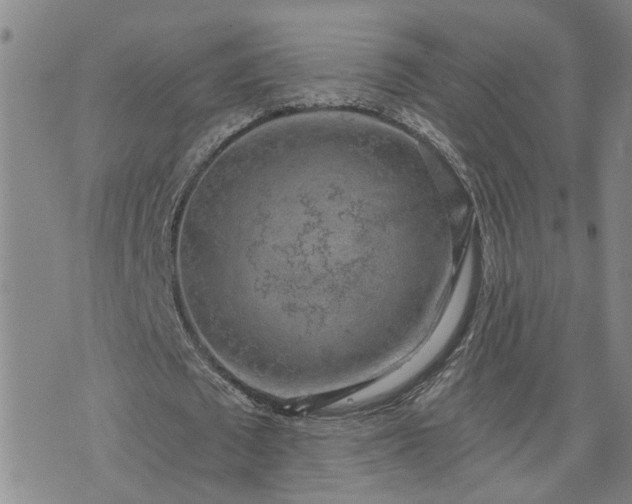 X0000076390673200610161141