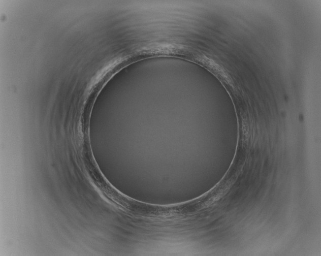 X0000076390674200610161141