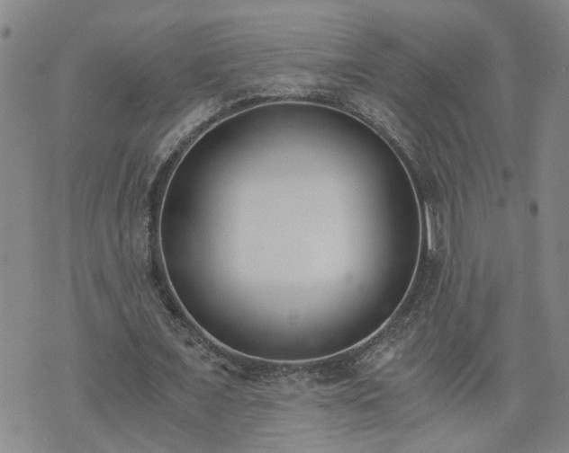 X0000076390675200610161141