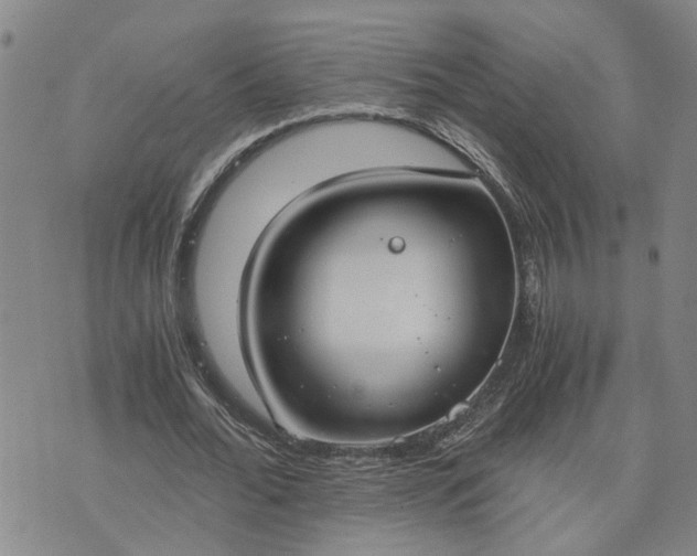 X0000076390676200610161141