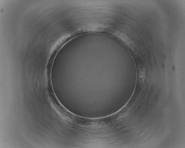 X0000076390678200610161141