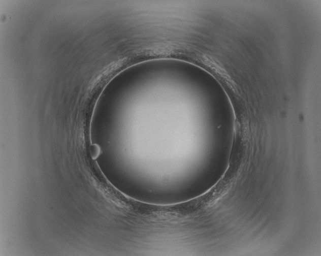 X0000076390681200610161141