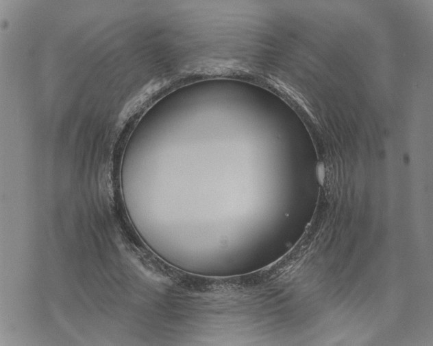 X0000076390682200610161141