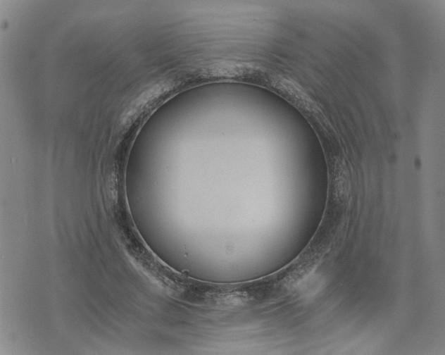 X0000076390683200610161141