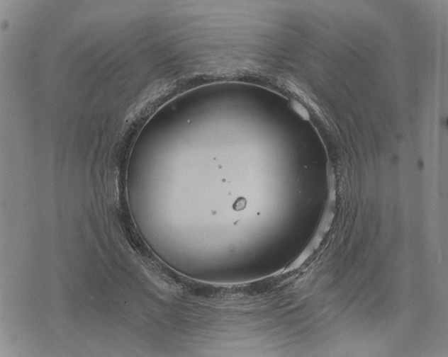 X0000076390685200610161141