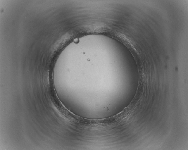 X0000076390686200610161141