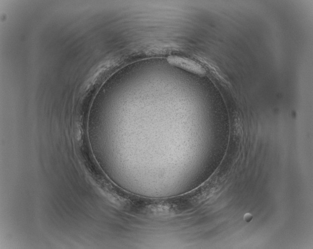 X0000076390687200610161141