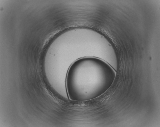 X0000076390688200610161141