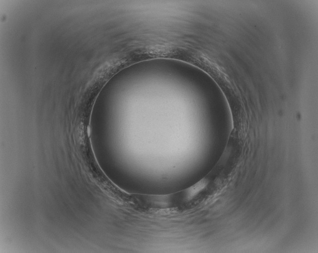 X0000076390689200610161141