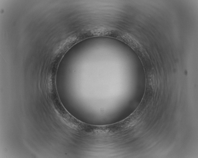 X0000076390690200610161141