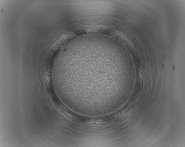 X0000076390691200610161140