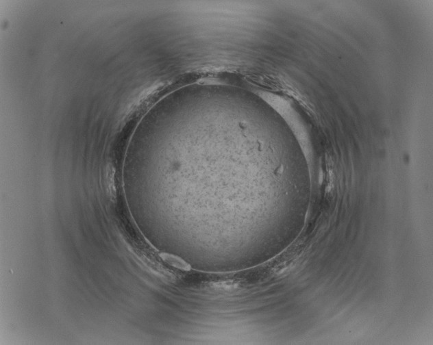 X0000076390692200610161140