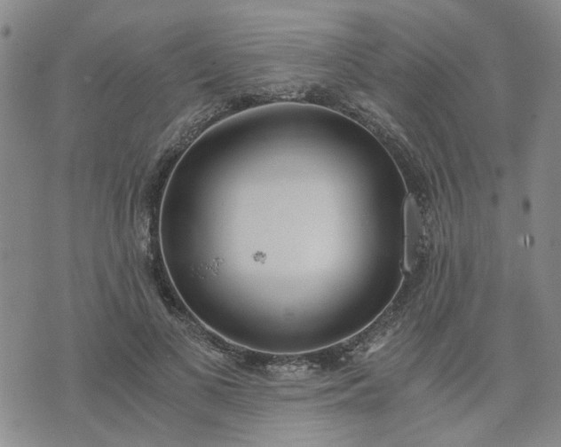 X0000076390693200610161140