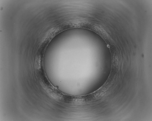 X0000076390694200610161140