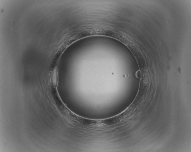 X0000076390695200610161140