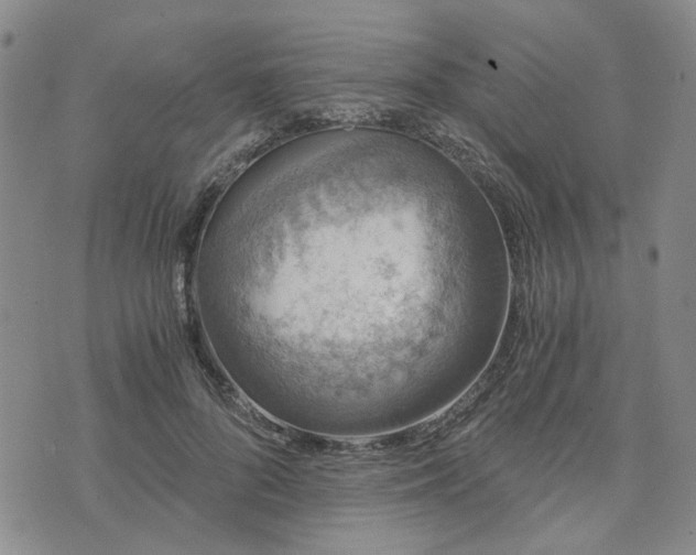 X0000076390696200610161140