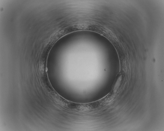 X0000076390697200610161140