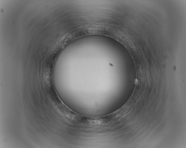 X0000076390698200610161140