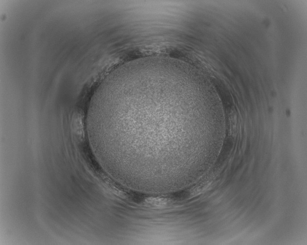 X0000076390699200610161140